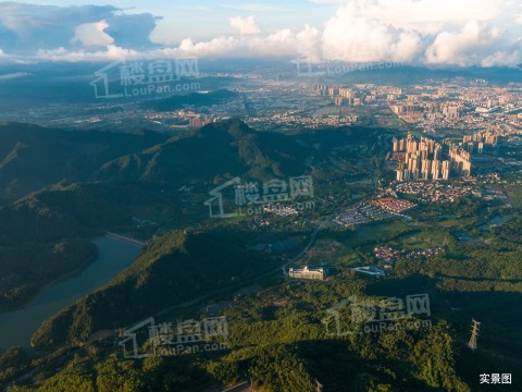 万科四季花城配套图